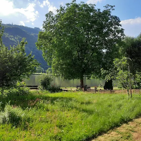 Gruene Boje Буллай