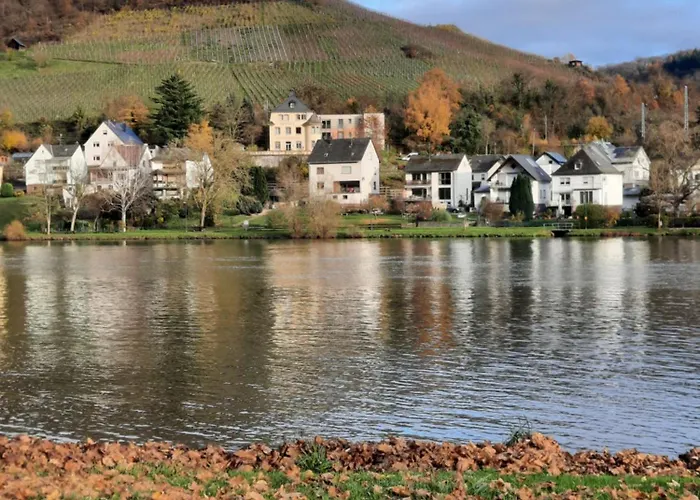 Gruene Boje 불라이