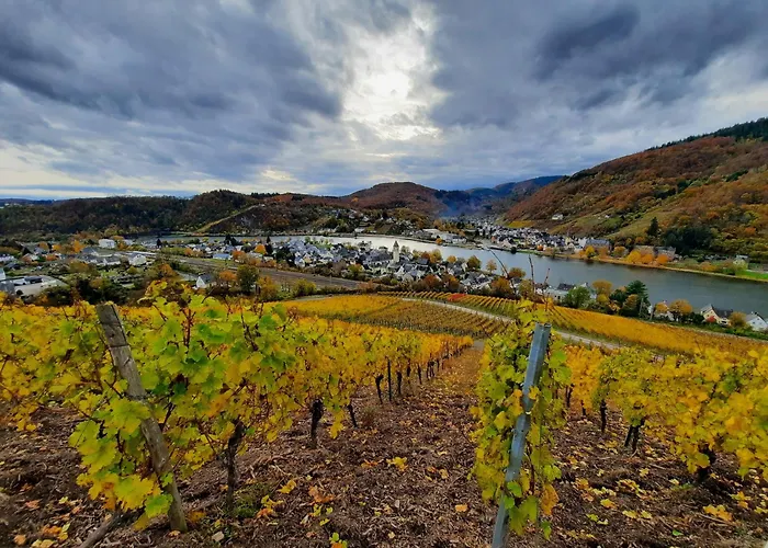 아파트 Gruene Boje