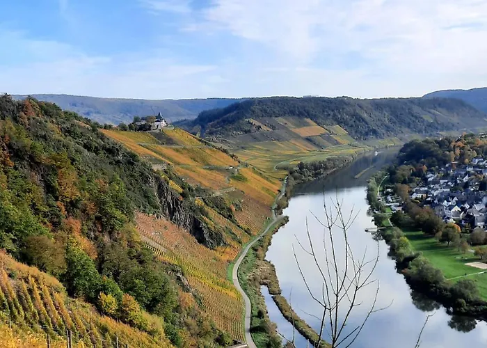 Gruene Boje * 불라이